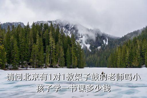 请问北京有1对1教架子鼓的老师吗小孩子学一节课多少钱
