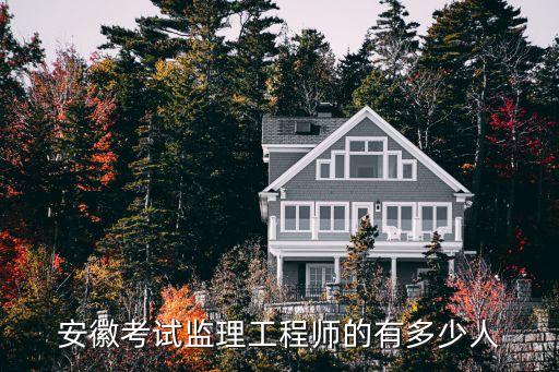 安徽考试监理工程师的有多少人