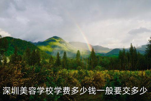 深圳美容学校学费多少钱一般要交多少