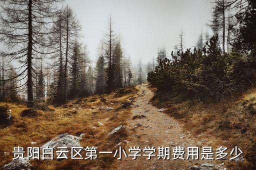 贵阳小学学费是多少，贵阳白云区第一小学学期费用是多少