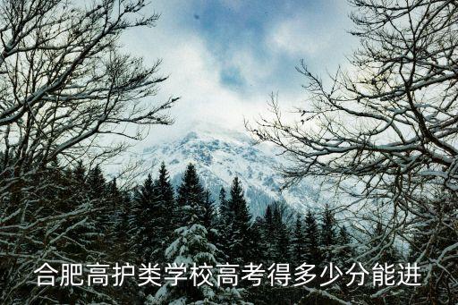 合肥高护类学校高考得多少分能进