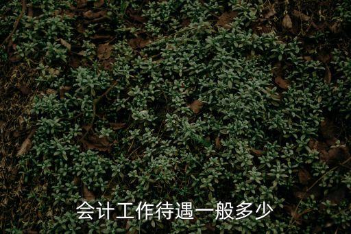会计工作待遇一般多少