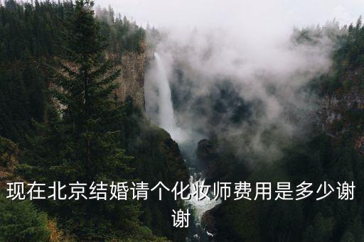 现在北京结婚请个化妆师费用是多少谢谢