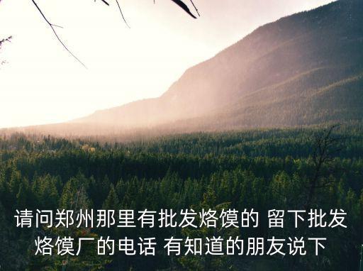 郑州烙馍批发价多少，请问郑州那里有批发烙馍的 留下批发烙馍厂的电话 有知道的朋友说下