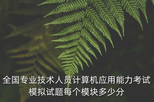 全国专业技术人员计算机应用能力考试模拟试题每个模块多少分