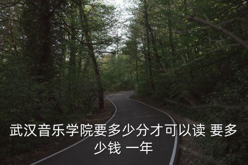 武汉音乐学院总分多少，武汉音乐学院要多少分才可以读 要多少钱 一年