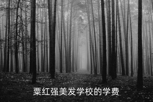 粟红强美发学校的学费