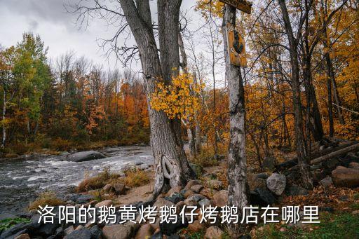 广州烤鹅加盟费多少，洛阳的鹅黄烤鹅仔烤鹅店在哪里