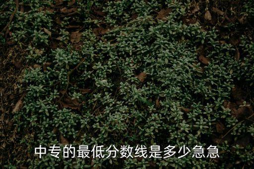 中专的最低分数线是多少急急