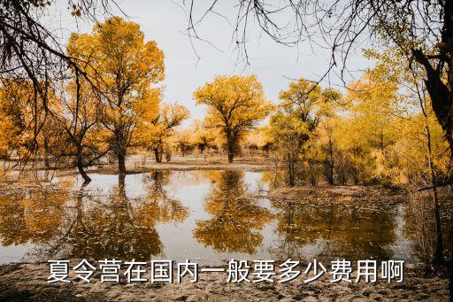 广东夏令营多少钱，7天的深圳夏令营费用是多少