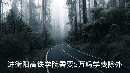 进衡阳高铁学院需要5万吗学费除外