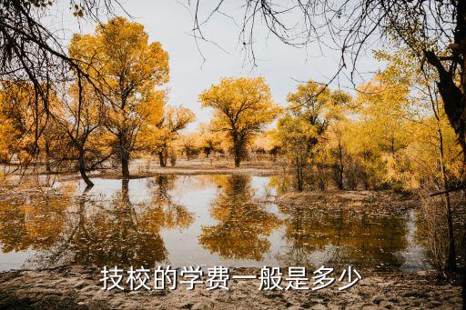 陕西正大技师学院学费多少，陕西正大技术学院报名费是多少