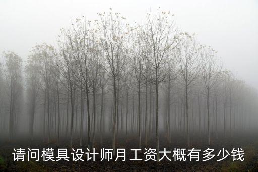 请问模具设计师月工资大概有多少钱