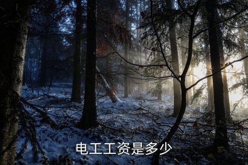电工工资最高多少，电工一个月多少工资呀