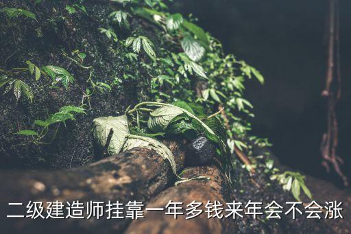 二级建造师挂靠一年多钱来年会不会涨