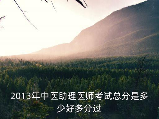 2013年中医助理医师考试总分是多少好多分过