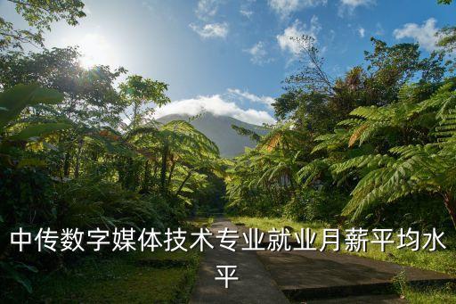 中传数字媒体技术专业就业月薪平均水平