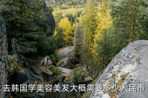 韩国美容培训学校学费多少钱，去韩国学美容美发大概需要多少人民币