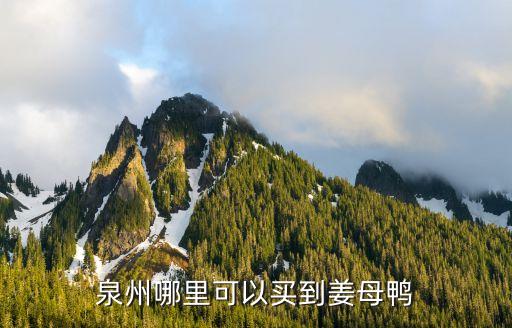 泉州哪里可以买到姜母鸭