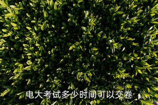 电大考试多少时间可以交卷