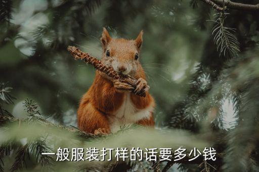 一般服装打样的话要多少钱