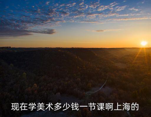 儿童画画一节课多少钱，现在学美术多少钱一节课啊上海的