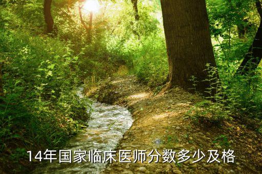 14年国家临床医师多少分及格，14年国家临床医师分数多少及格