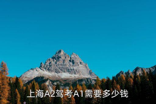 上海考a1驾照多少钱，上海A2驾考A1需要多少钱