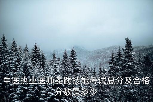 中医执业医师实践技能考试总分及合格分数是多少