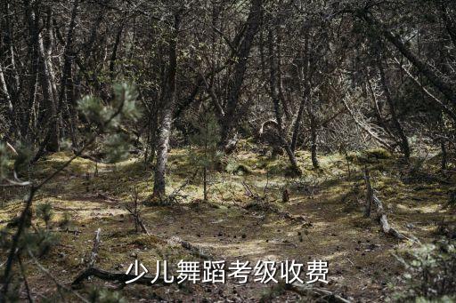 少儿舞蹈考级收费