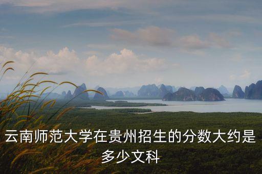 云南师范大学在贵州招生的分数大约是多少文科