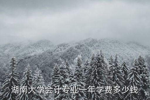 湖南大学会计专业一年学费多少钱