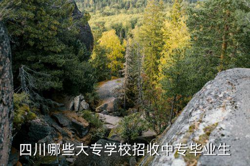 四川哪些大专学校招收中专毕业生