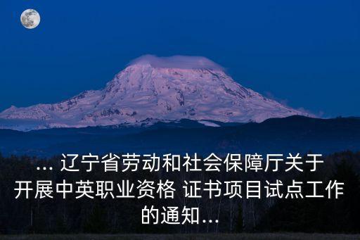 ... 辽宁省劳动和社会保障厅关于开展中英职业资格 证书项目试点工作的通知...