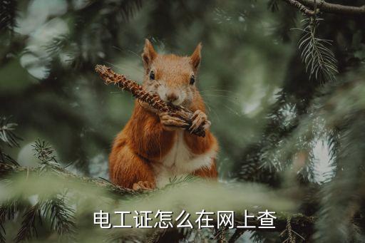  电工证怎么在网上查