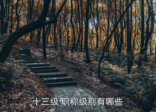 各职业职称,哪些职业可以评定职称