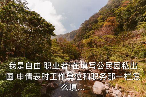 我是自由 职业者!在填写公民因私出国 申请表时工作单位和职务那一栏怎么填...