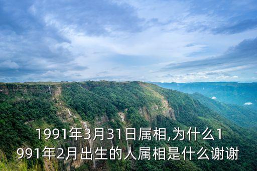 1991年3月31日属相,为什么1991年2月出生的人属相是什么谢谢