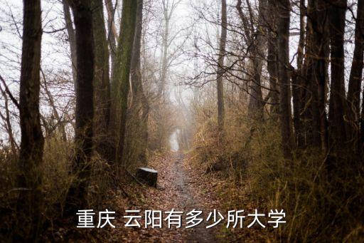 重庆 云阳有多少所大学