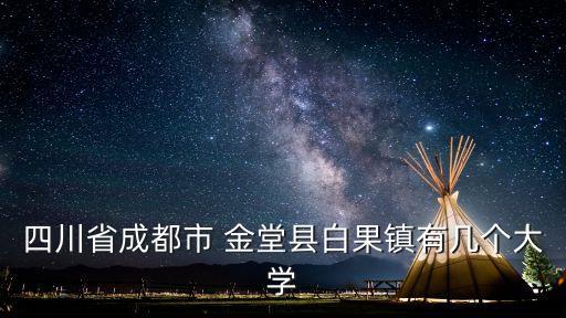 四川省成都市 金堂县白果镇有几个大学
