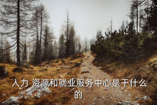  人力 资源和就业服务中心是干什么的