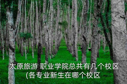  太原旅游 职业学院总共有几个校区(各专业新生在哪个校区
