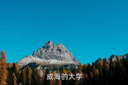  威海的大学