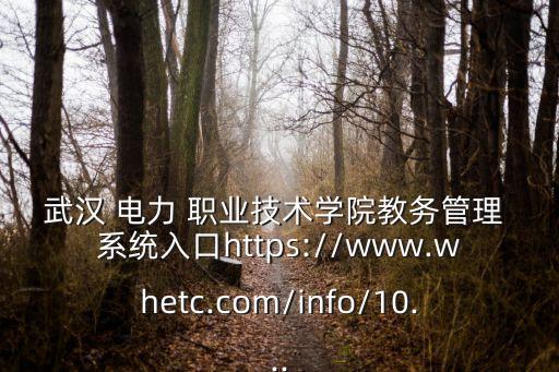 武汉 电力 职业技术学院教务管理 系统入口https://www.whetc.com/info/10...