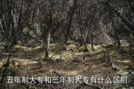 五年制大专和三年制大专有什么区别