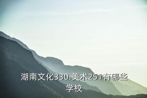  湖南文化330.美术251有哪些 学校