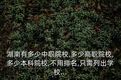 湖南有多少中职院校,多少高职院校,多少本科院校,不用排名,只需列出学校...