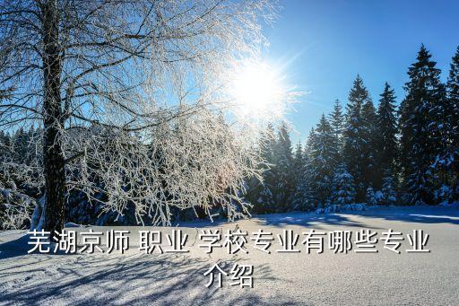 芜湖京师 职业 学校专业有哪些专业介绍