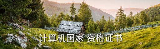  计算机国家 资格证书