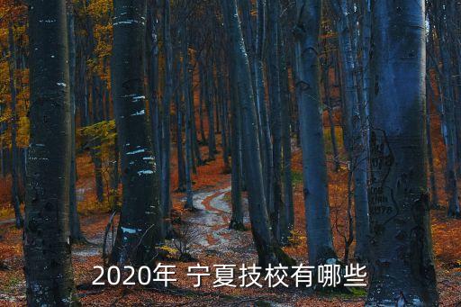 2020年 宁夏技校有哪些